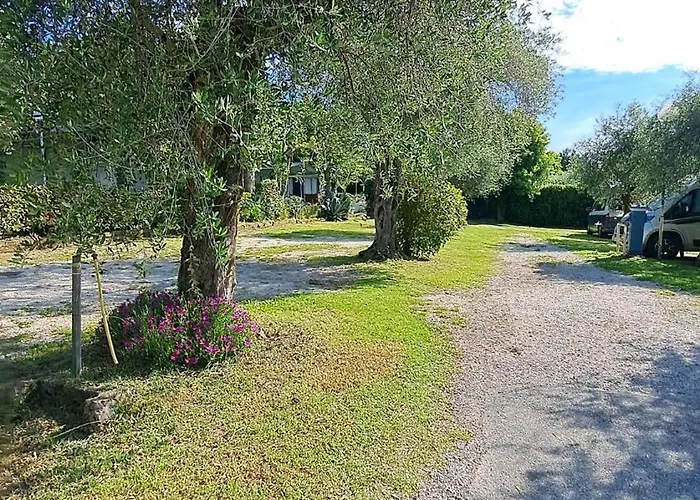 Camping Porto Srl