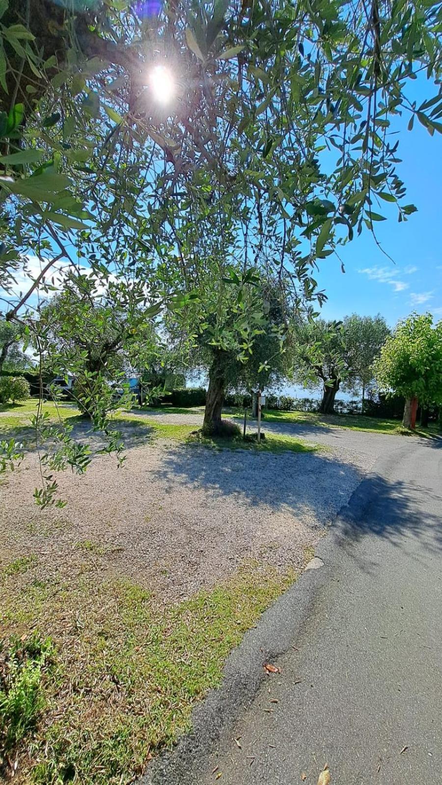 Porto Srl Campingplatz Moniga del Garda